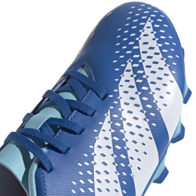 Adidas Predator Accuracy.4 FxG